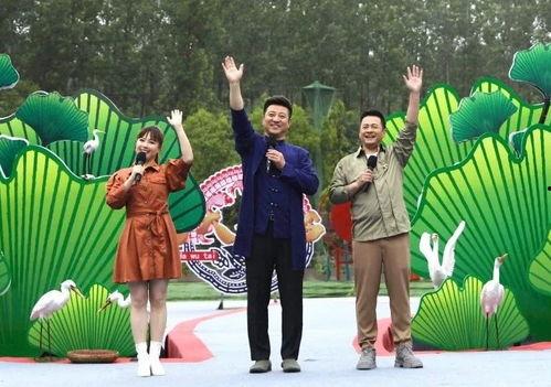 天涯最新爆料坠机案视频,坠机案最新视频曝光,真相渐浮水面 第1张 天涯最新爆料坠机案视频,坠机案最新视频曝光,真相渐浮水面 第1张